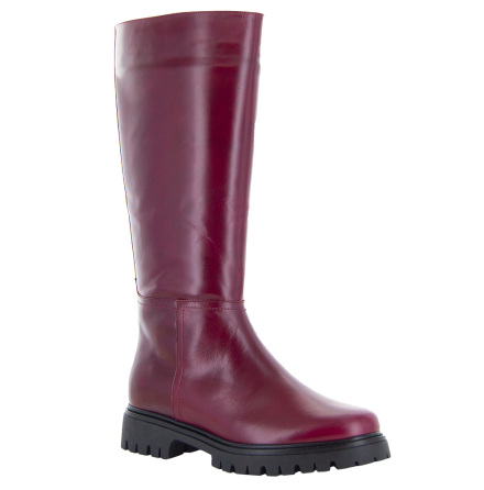 Elmina aubergine